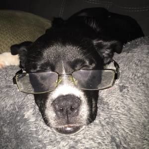 Meet your Posher, Joe